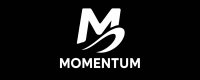 모멘텀